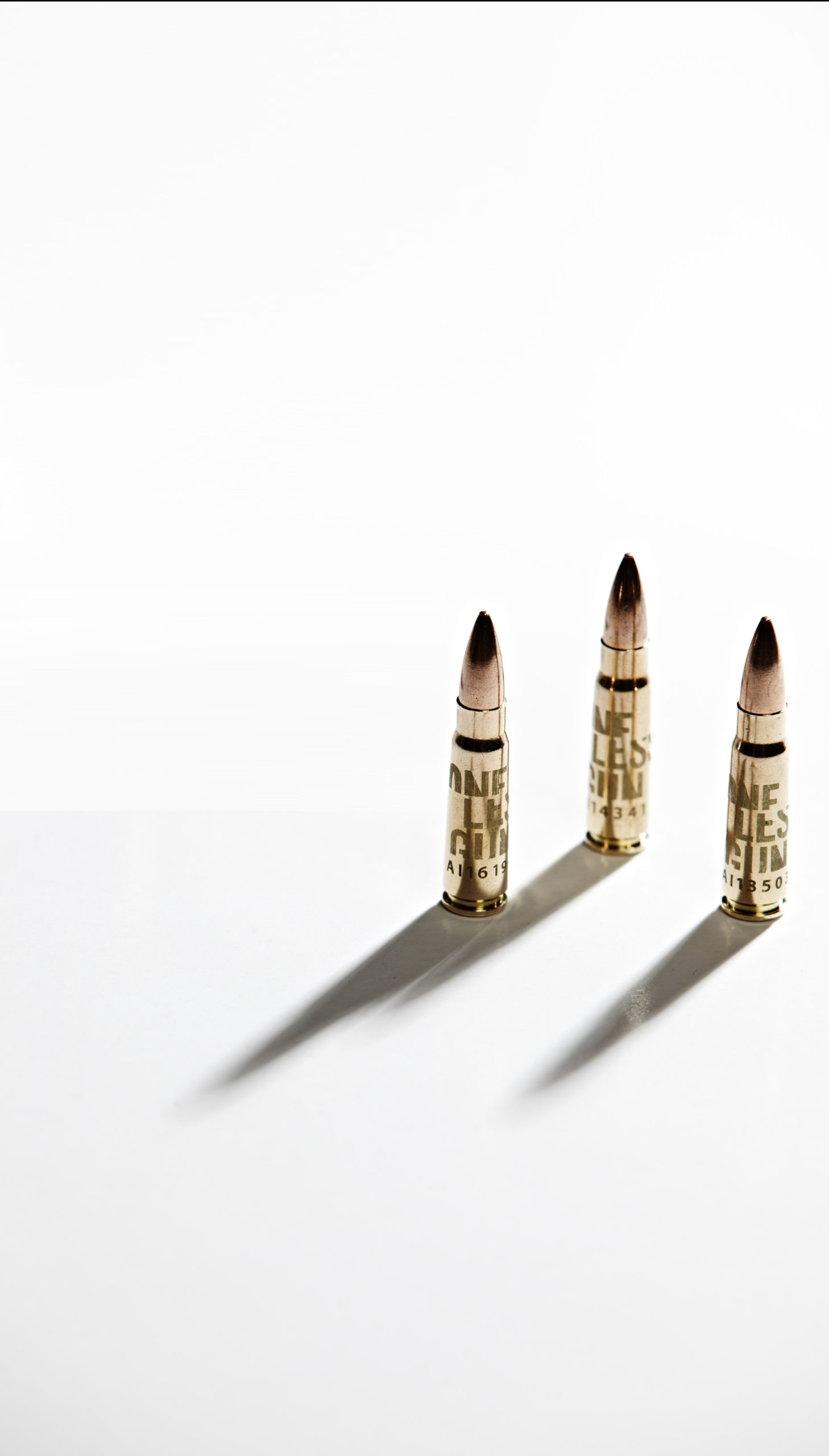 Ideological Ammunition